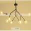 Simple Decorative Glass Ball Black Metal Chandelier Hanging Pendant Lamp