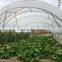 Greenhouse Structure Pole Ancher stake in horn shape