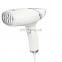 New Style Customized multifunction Portable Handheld Ironing Machine Steam Unique appearance Clothes Steamer