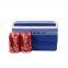 GiNT 5L Manufactory Eco Friendly Ice Chest Durable Cooler Box Portable Ice Chest for Christmas
