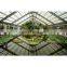 cheap galvanized agricultural greenhouses for mushroom plantations