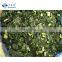 Sinocharm BRC-A approved IQF collard green Frozen Kale