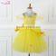 Sparkle Tutu Dress Inspired Handmade All Sizes Fully Christmas Party Fancy Dress Princess Costume