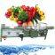 Bubble cleaning bubble cleaning  apple dates cleaning machine fruit and vegetable washing machine for sale
