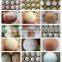 High Precision Egg Coding Printing Machine Egg Printing Machine