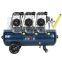 Bison China Factory Manufacturer Free Oil Air Oilless Dual Compressor Quiet Dental Machine
