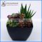 Home decorative Artificial mixed Mini succulent plant pvc potted succulent plant with different styles