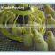 vaude poultry broiler pan feeding pan for broiler chickens in poultry farming