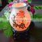 Himalayan Natural Rock Salt Lamp with Ceramics cover