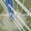 Competitive Price New Design 2X4 Decoration DoubleWire Fence