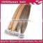 Newest style good quality virgin human cheap hair great 24 inch remy wholesale tape hair extensions