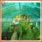 70% -75% UV Treated Agriculture flat shade canpopies net