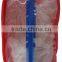 Shoe Bag (red)
