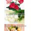 New Condition gift and wedding celebration digital Mini Flower Printer