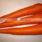 Crispy Carrot Sweet Carrot Wholesale Carrot