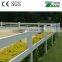 100% virgin vinyl white pvc horse fence