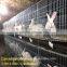 Factory Manufacture Rabbit Houses Design