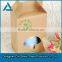 BRAKE PAD COLORED OFFSET PRINTING PAPER PACKAGING BOX