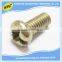 China OEM manufacturer high precision phillips head metal decorative screw