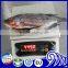 Best sale Frozen Black Tilapia Fish With Gutted and Scaled Gilled Specifications