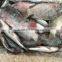 Frozen Black Tilapia For Sale/Chopa