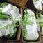 Bananas, Green Cavendish Bananas, Best Price