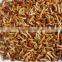italy flavor marinated nameko mushroom in oil