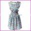 New Women Casual Sleeveless Dress Chiffon Floral Print Elastic Waist Bohemian Beach Dresses