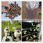 8-16mm size Expanded Clay for hydroponics, aquaponics