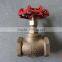 Bronze valve