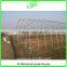 durable galvanized steel frame greenhouse agricultural greenhouse