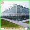 Durable Aluminium Profiles Venlo Polycarbonate Green House With High Quality and Best Service