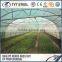 greenhouses agriculture projects structural tubes 2015 china factory wholesale good quality precision steel pipe for greenhouse