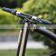 e-bike 36V 5.8Ah folding electric bike