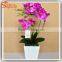 Chinese Factory direct all kinds of wedding flower bonsai tree artificial flower plants