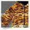 Cute Tiger Design Children Kids Pattern Fur Coats Faux Fur