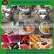 Single Channel mango pulp /beater machine price/ fruit peeling pitting pulping machine