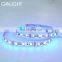 Led christmas series pixel led RGB led 5050 24v led light