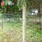 Hot dipped galvanized hinge joint wire mesh farm field fence for cattle sheep