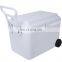 GINT Hard Rotomolded Coolers 2020 Ice Waterproof Oem Customized Box Packing Plastic Color