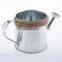 shiny stainless steel water cane