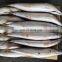Good quality frozen spanish mackerel fish prices