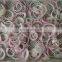 Sinocharm  IQF Fresh Vegetable Onion Strips 8-10 mm Suppliers Frozen White Onion