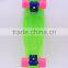 the Mini Cruiser Children Skateboard
