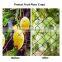 Agriculture HDPE Customized Anti Bird Net Garden Greenhouse Horticulture Plant Protection Cover Weaved