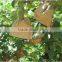 High quality brown kraft paper manufacturer fruit growing paper bags