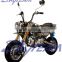 SKYTEAM 125cc 4 stroke monkey Le Mans Pro Motorbike (EEC EUROIII EURO3 APPROVAL)                        
                                                Quality Choice