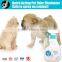 SJC Lactobacillus Enzyme Pet Odor Remover