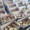 2016 hot sale high quality fresh potato