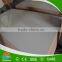 Shandong Shouguang Best Quality Green Plywood to UAE and Africa Market
